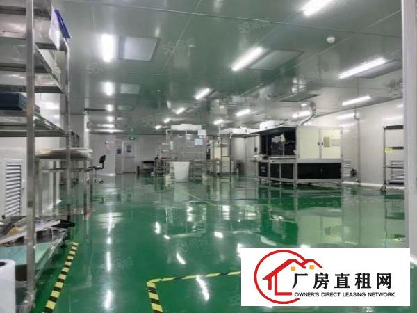  大型工业区标准独院厂房出租总面积2.6万平方带豪华装修