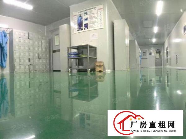  大型工业区标准独院厂房出租总面积2.6万平方带豪华装修