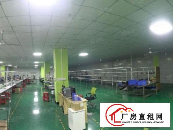  大型工业区标准独院厂房出租总面积2.6万平方带豪华装修