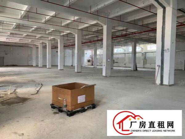  塘厦138工业区新出原房东厂房34000平按实际面积出租可分