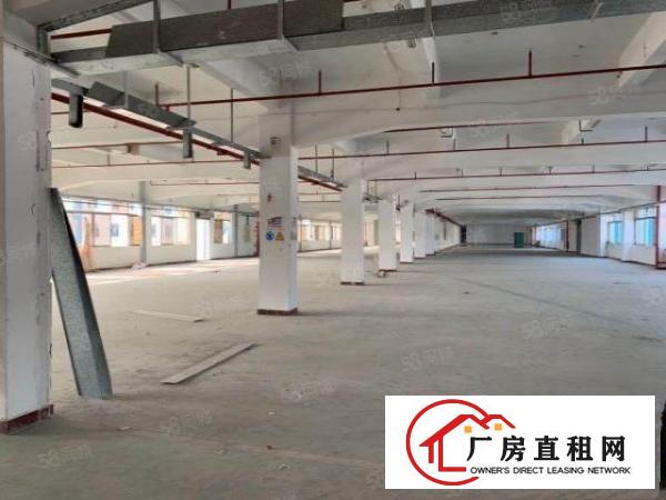  塘厦138工业区新出原房东厂房34000平按实际面积出租可分