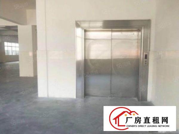  清溪浮岗原房东独院厂房出租3200平方，带水电装修，消防环评