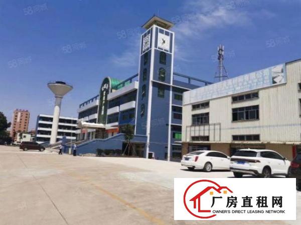  东莞塘厦全新厂房1200平方米出租，疫情时期，巨优惠来袭