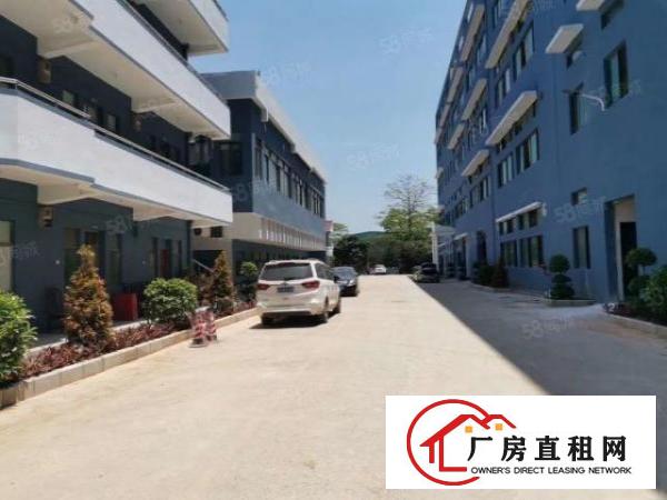  东莞塘厦全新厂房1200平方米出租，疫情时期，巨优惠来袭