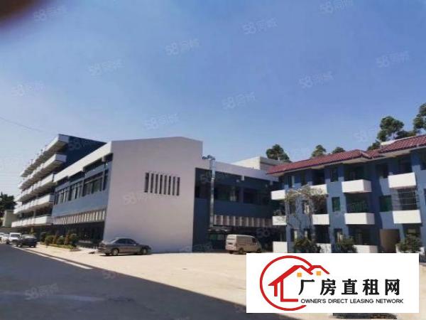  东莞塘厦全新厂房1200平方米出租，疫情时期，巨优惠来袭