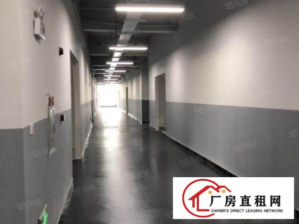  东莞塘厦全新厂房1200平方米出租，疫情时期，巨优惠来袭