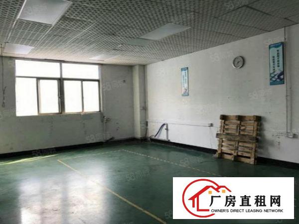  塘厦四村工业区标准2楼1350平方！租金13元！简单装修