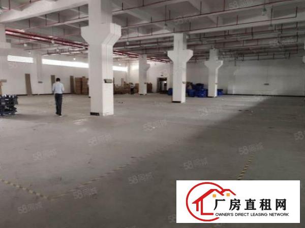  （莲湖，大坪等）塘厦莲湖新出原房东一楼6米带牛角1300平