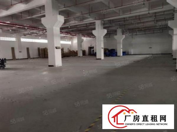  （莲湖，大坪等）塘厦莲湖新出原房东一楼6米带牛角1300平