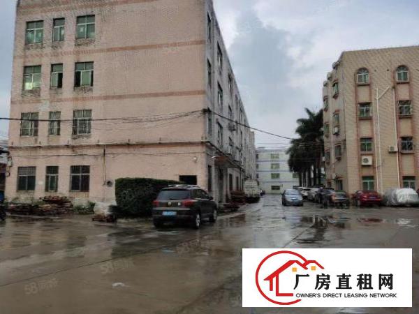  （莲湖，大坪等）塘厦莲湖新出原房东一楼6米带牛角1300平