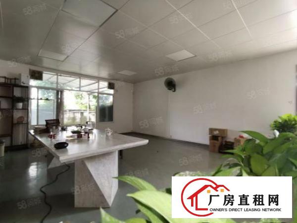 莲湖大坪石鼓等，3300平单一层钢构独院（分租）对外招租