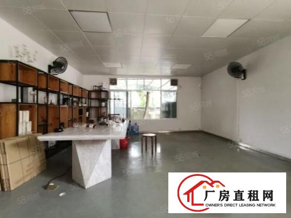 莲湖大坪石鼓等，3300平单一层钢构独院（分租）对外招租
