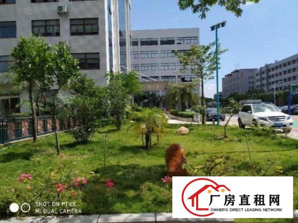  塘厦沙湖刚空出花园式厂房1000平方，现成装修可做电商