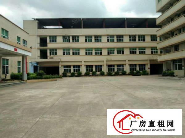  塘厦桥陇现有5200平独院标准厂房，带装修电梯，本地人房东