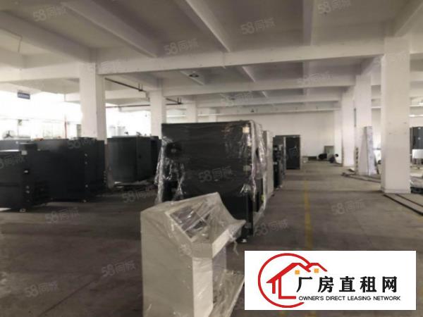  塘厦桥陇现有5200平独院标准厂房，带装修电梯，本地人房东