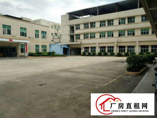  塘厦桥陇现有5200平独院标准厂房，带装修电梯，本地人房东