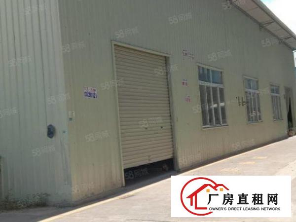  实拍图！塘厦凤凰岗，独栋小钢构700平，滴水8米
