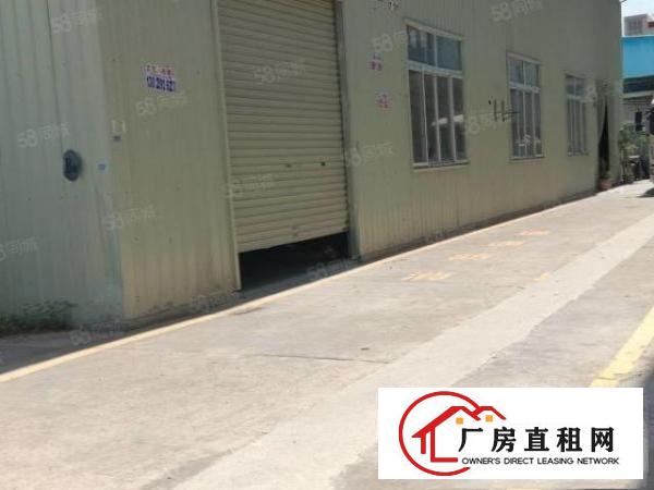  实拍图！塘厦凤凰岗，独栋小钢构700平，滴水8米