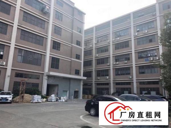  出租|塘厦蛟乙塘标准2000平带现成精装豪华办公室