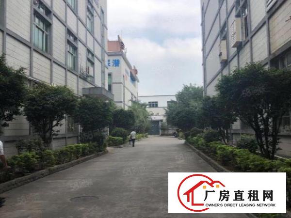  出租|塘厦蛟乙塘标准2000平带现成精装豪华办公室