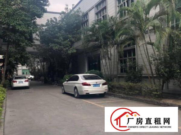 出租|塘厦蛟乙塘标准2000平带现成精装豪华办公室