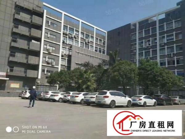 非中介业主自用花园式厂房1500平带装修出租