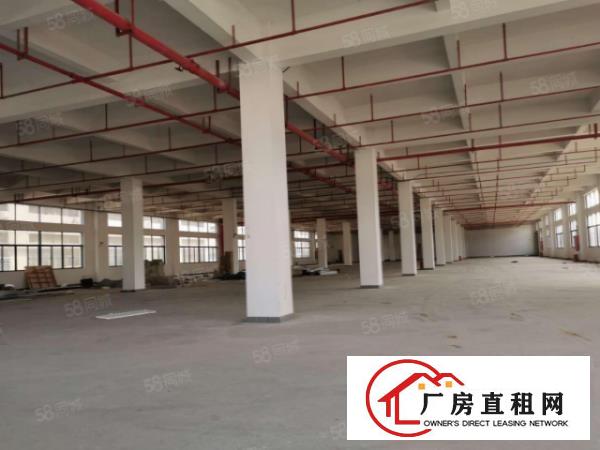  塘厦科苑城园区厂房1800平标准一楼，形象好，近高速，高5米