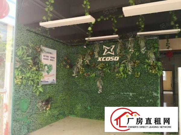  塘厦原房东独院厂房6000平方，现成装修，主线到位