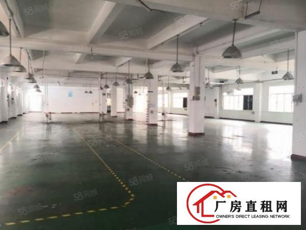  塘厦原房东独院厂房6000平方，现成装修，主线到位