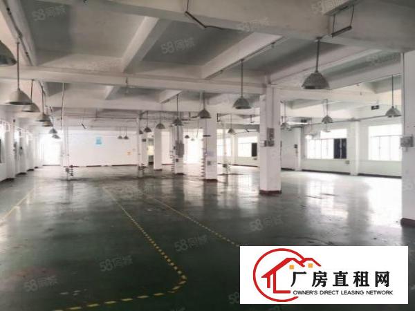  塘厦原房东独院厂房6000平方，现成装修，主线到位