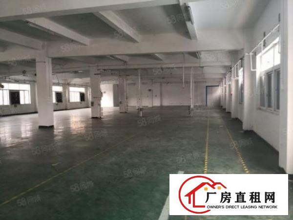  塘厦原房东独院厂房6000平方，现成装修，主线到位