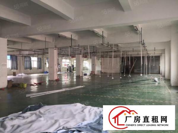  塘厦原房东独院厂房6700平方，现成装修，主线到车间