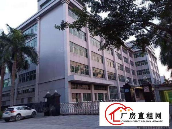  塘厦大坪工业园新出原房东一楼1000平米带牛角厂房出租可分租