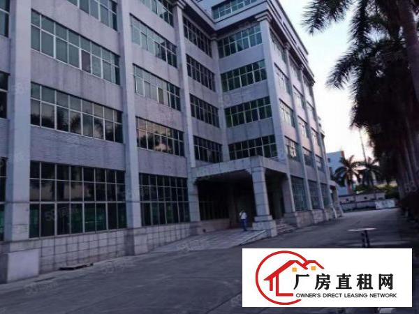  塘厦大坪工业园新出原房东一楼1000平米带牛角厂房出租可分租
