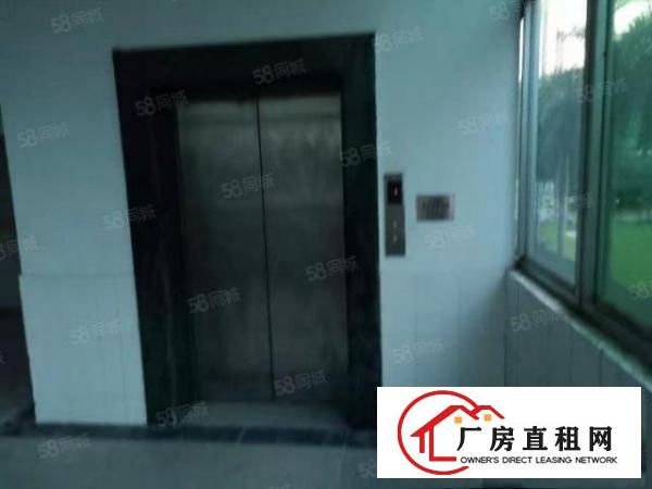  塘厦大坪工业园新出原房东一楼1000平米带牛角厂房出租可分租
