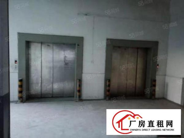  塘厦大坪工业园新出原房东一楼1000平米带牛角厂房出租可分租