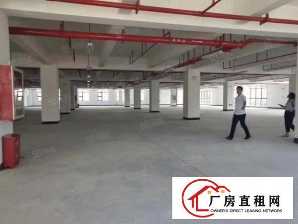  塘厦大坪工业园新出原房东一楼1000平米带牛角厂房出租可分租