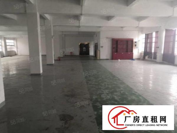  塘厦128工业区标准2楼1000平方！保留以前主线装修