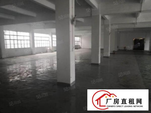  塘厦128工业区标准2楼1000平方！保留以前主线装修