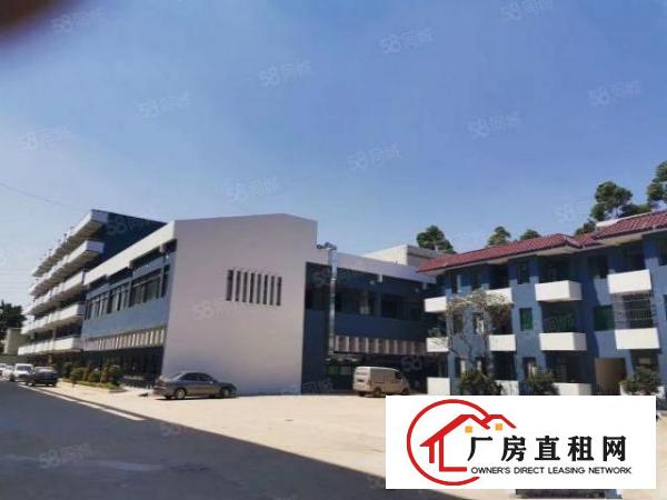  塘厦振兴围原房东超实用厂房1900方