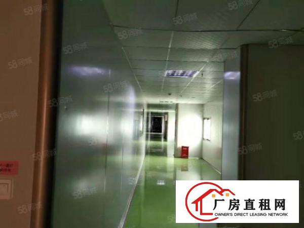  塘厦莲湖缤纷广场九成新无尘车间2600平方