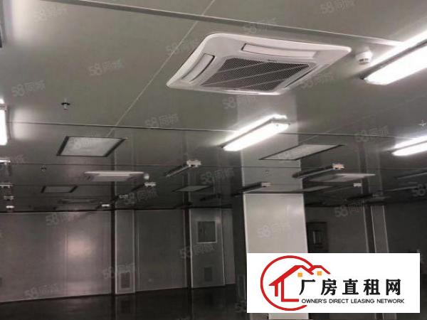  塘厦莲湖缤纷广场九成新无尘车间2600平方