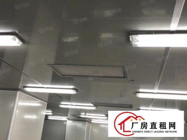  塘厦莲湖缤纷广场九成新无尘车间2600平方
