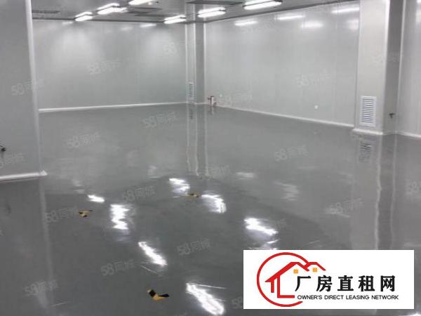  塘厦莲湖缤纷广场九成新无尘车间2600平方