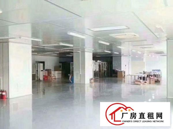  塘厦莲湖缤纷广场九成新无尘车间2600平方