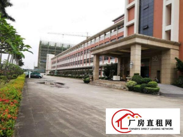  塘厦科苑城标准1楼828平方！可办环评！可装峰谷表