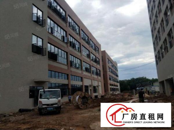  塘厦全新高新产业园43900平方！带红本！上市公司