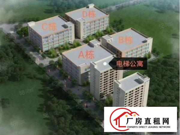  塘厦全新高新产业园43900平方！带红本！上市公司