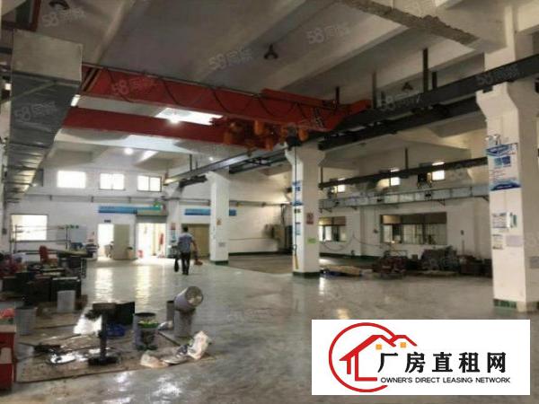 塘厦科苑城独院标准1楼700平方！可装峰谷表！园区空地超大