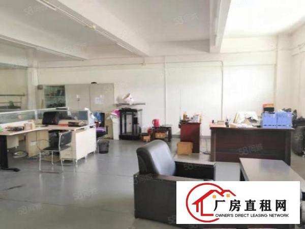  塘厦科苑城独院标准1楼700平方！可装峰谷表！园区空地超大